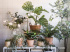  MUSKOTBLOMMA МУСКОТБЛОММА. Маленькое изображение 7