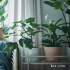  MUSKOTBLOMMA МУСКОТБЛОММА. Маленькое изображение 4